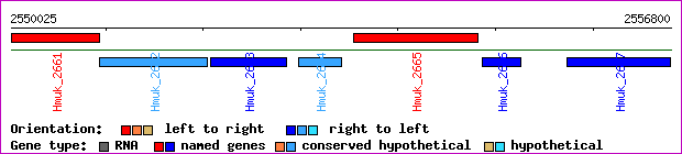 gene map