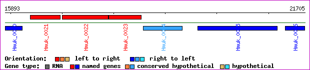 gene map