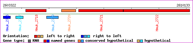 gene map