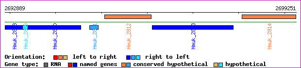 gene map
