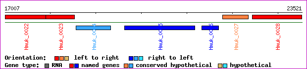 gene map