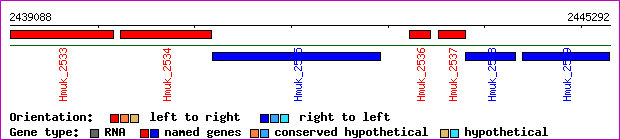 gene map