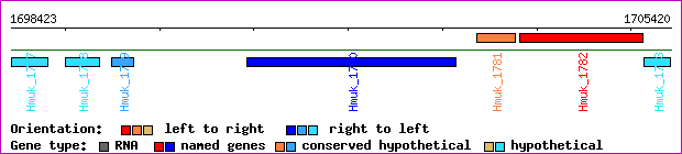 gene map