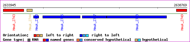 gene map