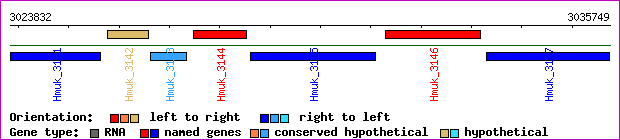 gene map