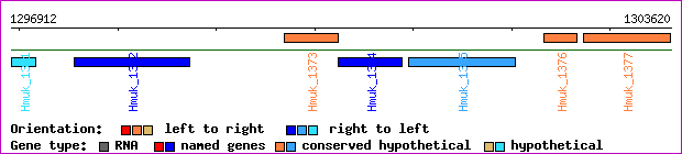 gene map