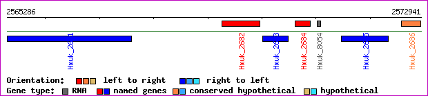gene map