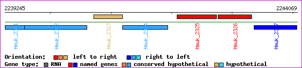 gene map
