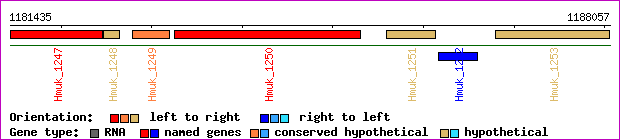 gene map