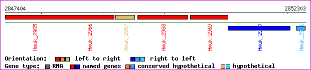 gene map