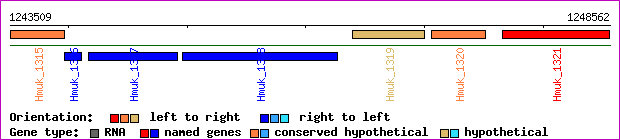 gene map