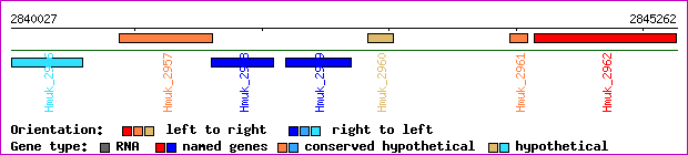 gene map