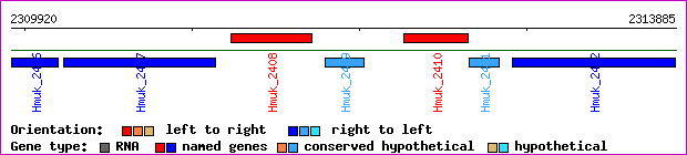 gene map