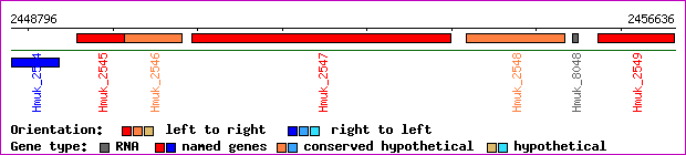 gene map