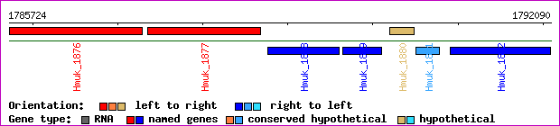 gene map