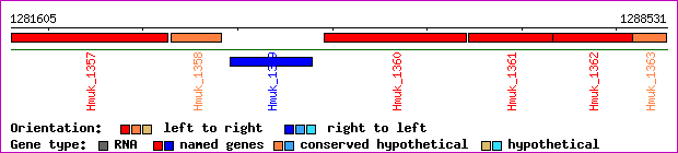 gene map