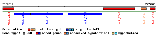 gene map