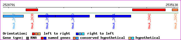 gene map