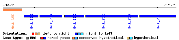 gene map