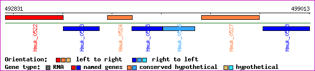 gene map