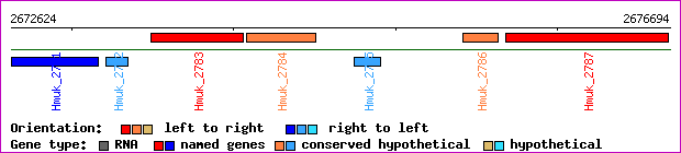gene map