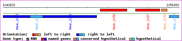 gene map