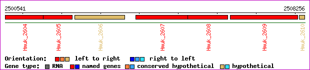 gene map