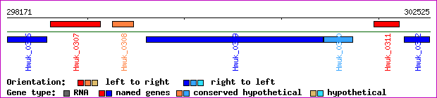 gene map