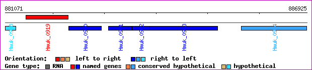 gene map