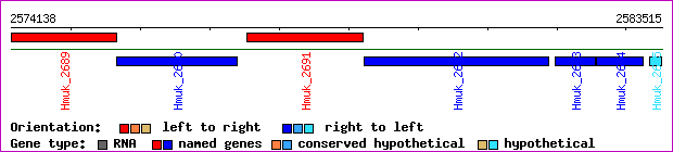 gene map