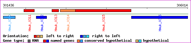 gene map
