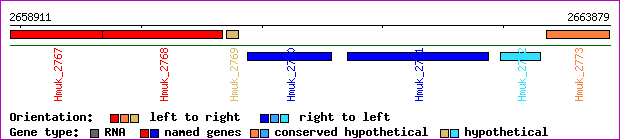 gene map
