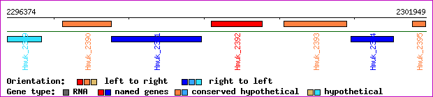 gene map