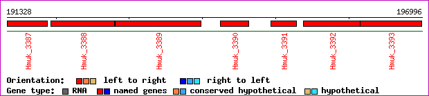 gene map