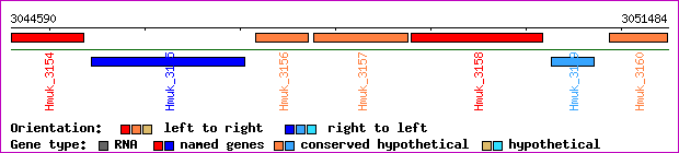 gene map