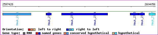 gene map