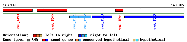gene map