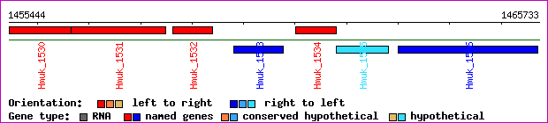gene map