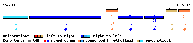 gene map