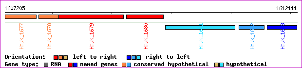 gene map