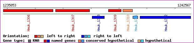 gene map