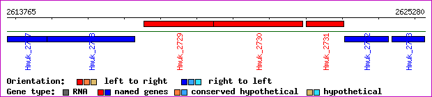 gene map