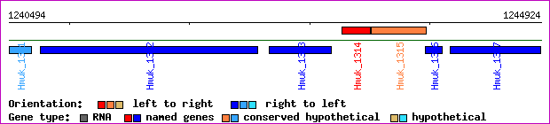 gene map