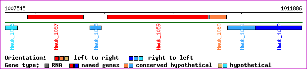 gene map