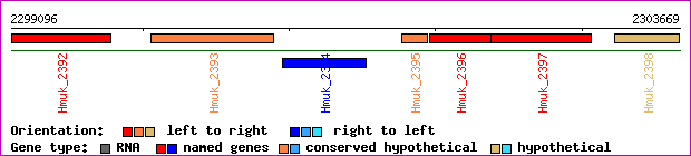 gene map