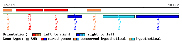 gene map
