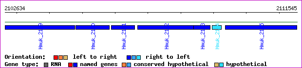 gene map