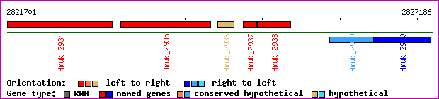 gene map