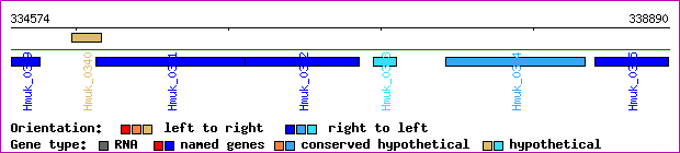 gene map