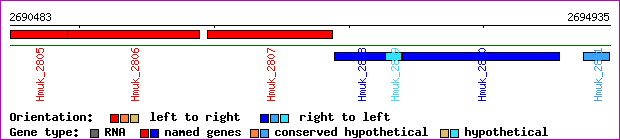 gene map